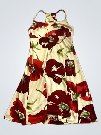 NEMO Floral Dress