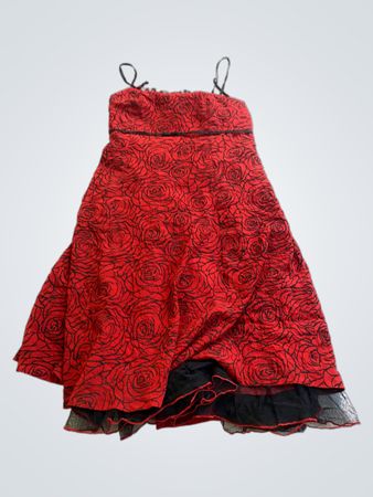Red Rose Pattern Dress