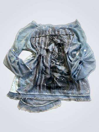 Blue Sequined Top