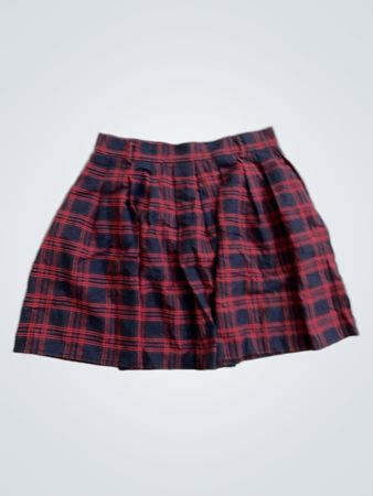 Red and Blue Plaid Skirt