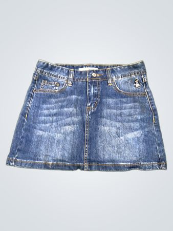 Country Garden Denim Skirt