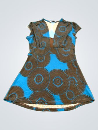 Trendylando Blue and Brown Dress
