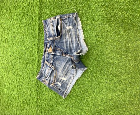Almost Famous Denim Shorts