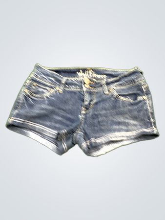 Willow Flower Denim Shorts