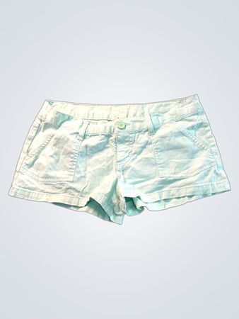 Mossimo Supply Co. Mint Green Shorts