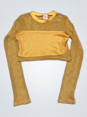 Sheer Mesh Long Sleeve Crop Top