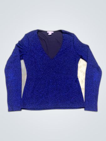 H&M Long Sleeve Sequin V-Neck Top