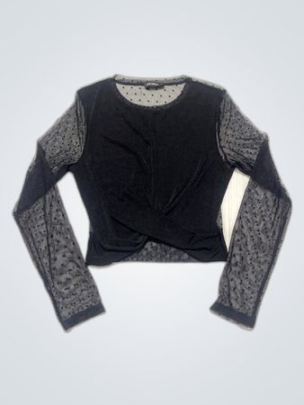 Long Sleeve Sheer Mesh Top