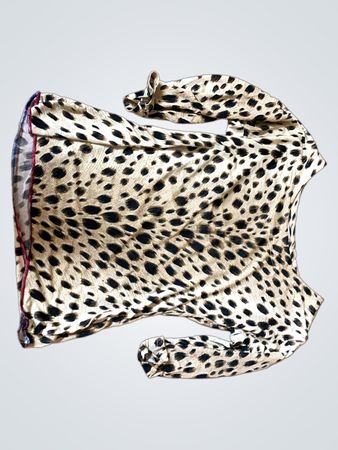 Van Canegem Stephanie PAGODE Cheetah Print Top