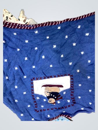 Christopher & Banks Blauer Pullover mit Snowboardbär-Graphic