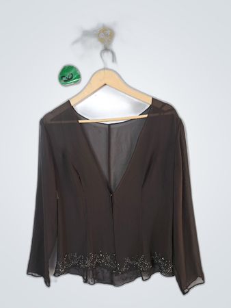 Sheer Long Sleeve V-Neck Blouse