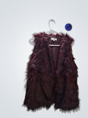 Charlotte Russe Faux Fur Vest