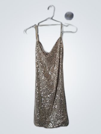 Sequin Dress