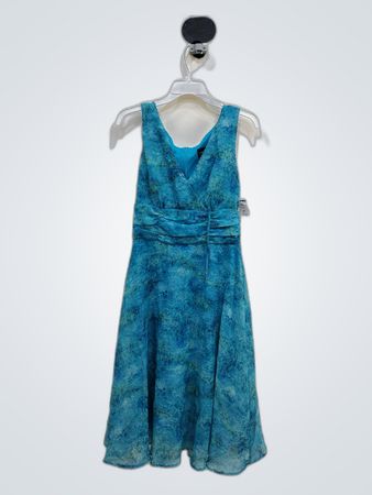 eAnnected Blue Dress