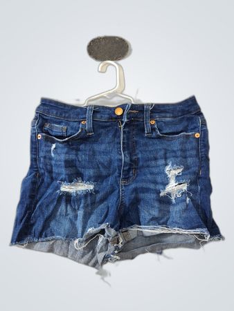 American Eagle Distressed Denim Shorts
