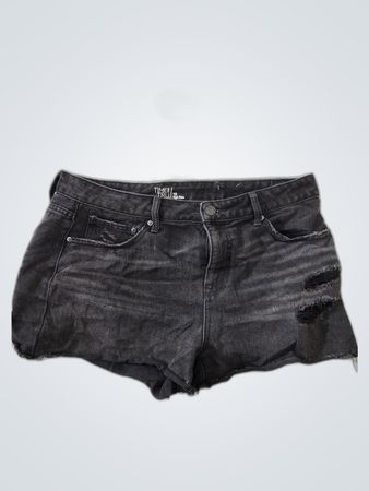 True Religion High Rise Distressed Denim Shorts