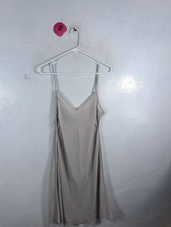 Charlie Brown Beige Slip Dress