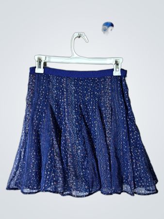 American Eagle Outfitters Blue Floral Skirt