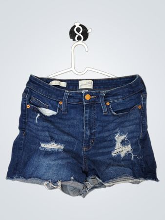 Universal Thread Denim Shorts