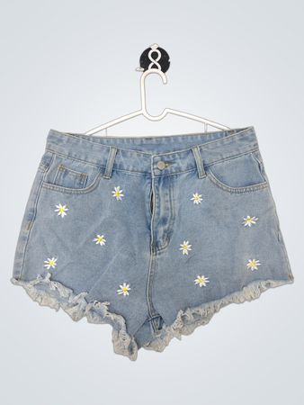 Zara Embroidered Denim Shorts