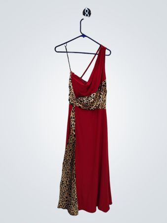 Red and Leopard Print Dress