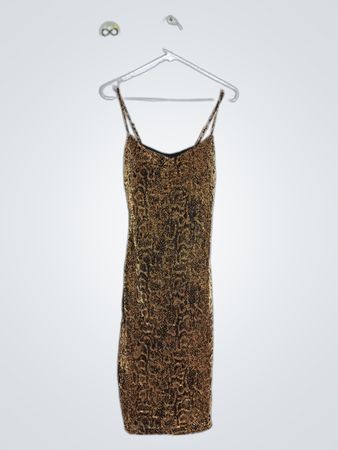 Planet Gold Dress