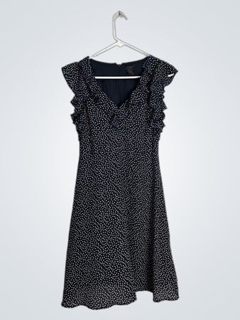 Ann Taylor Factory Polka Dot Ruffle Dress