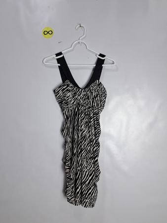 Alyn Paige New York Zebra Print Dress