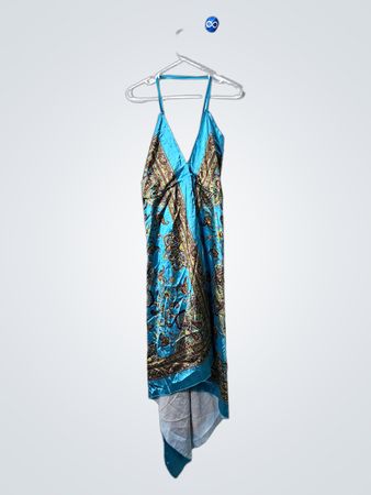 Blue Paisley Dress