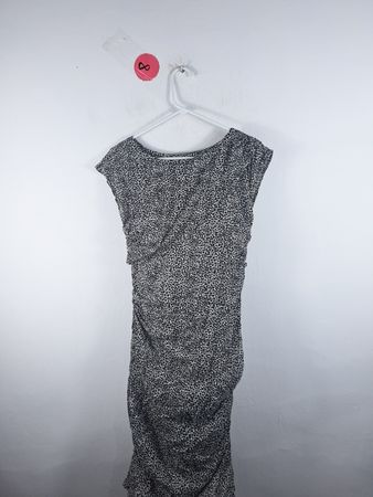Ann Taylor Leopard Print Sleeveless Ruched Dress