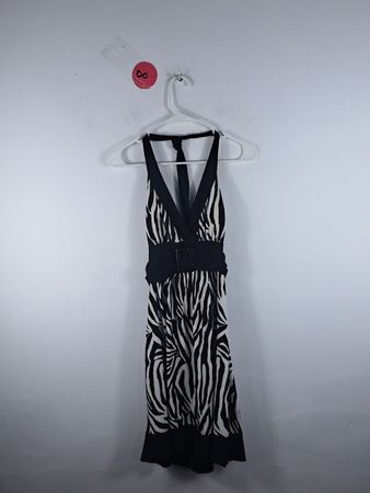 Zebra Print Dress