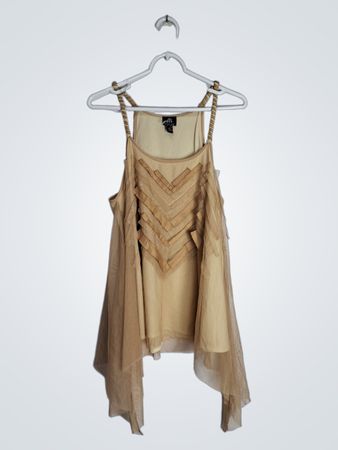 Tan Colored Dress with Sheer Overlay
