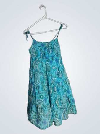 Blue Paisley Dress