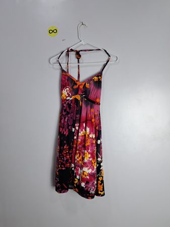 Express Floral Dress