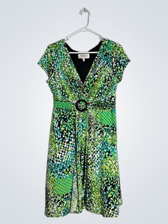 Studio I Green Patterned Dress