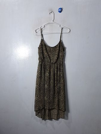 Charlotte Russe Leopard Print Dress