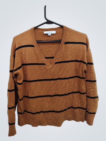 LOFT Striped V-Neck Sweater