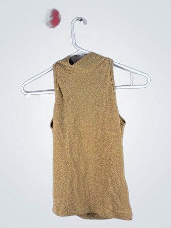 Brown Sleeveless Top