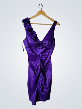 Celavie Purple Dress