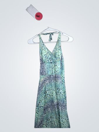 Green and Blue Animal Print Dress