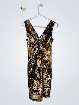 Animal Print Dress