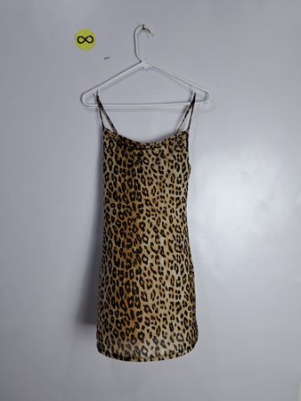Forever 21 Leopard Print Dress