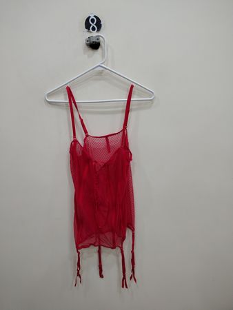 Savage Red Lace Chemise
