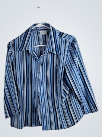 Covington Petite Striped Shirt