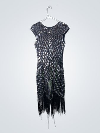 Sequined Fringe Dress