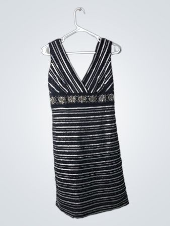 Black and Silver Striped Dress