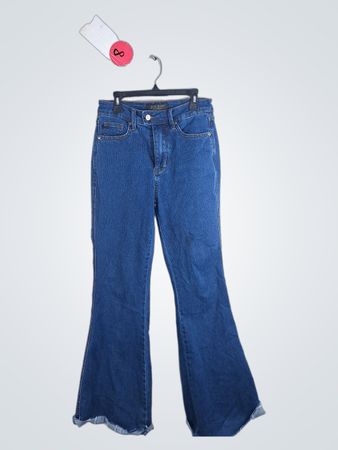 Judy Blue Flared Denim Jeans