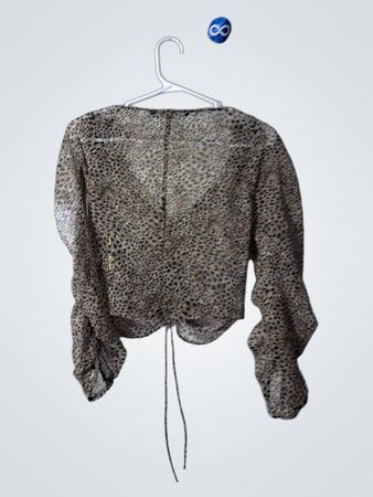Zara Animal Print Blouse