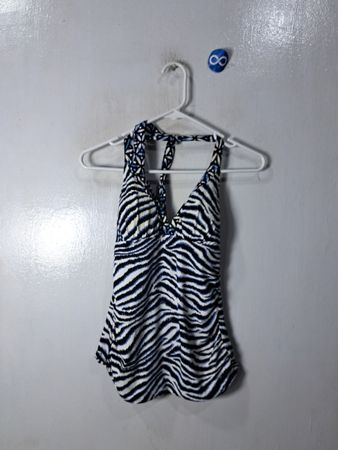 Zebra Print Swimsuit