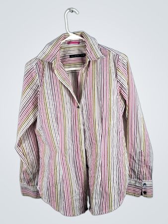 The Limited Striped Shirt